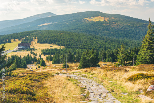 Fototapeta Naklejka Na Ścianę i Meble -  Karkonosze Mountains, Western Sudetes, mountain landscape on a hiking trail, rocky path between alpine vegetation leads to the top of the mountain, view on a summer day.