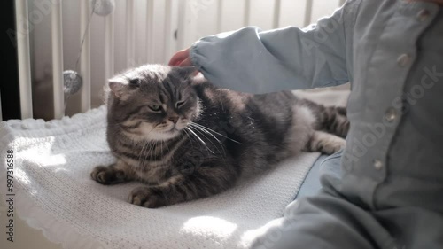 A small child stroking a cat on a bad in a room in the sunshine. A cute activity for a baby. Caring kid sitting near the cat. Animal lover