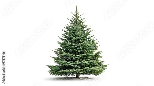 One Christmas tree isolated on white background. 