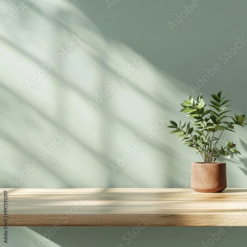 serene wooden table showcases potted plant against light green wall, with soft shadows creating calming atmosphere. natural elements enhance tranquil setting