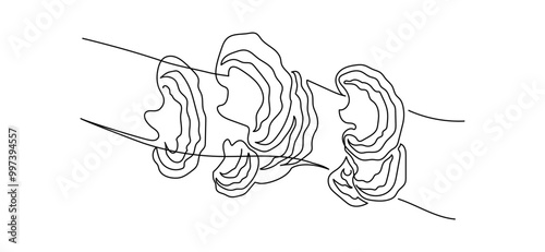 Reishi mushrooms in one continuous line drawing. Organic ganoderma lucidum fungi in simple linear style. Superfood medicinal and edible plant in editable stroke. Doodle vector illustration