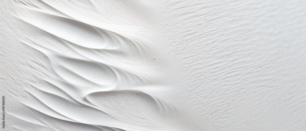 Obraz premium Abstract White Texture