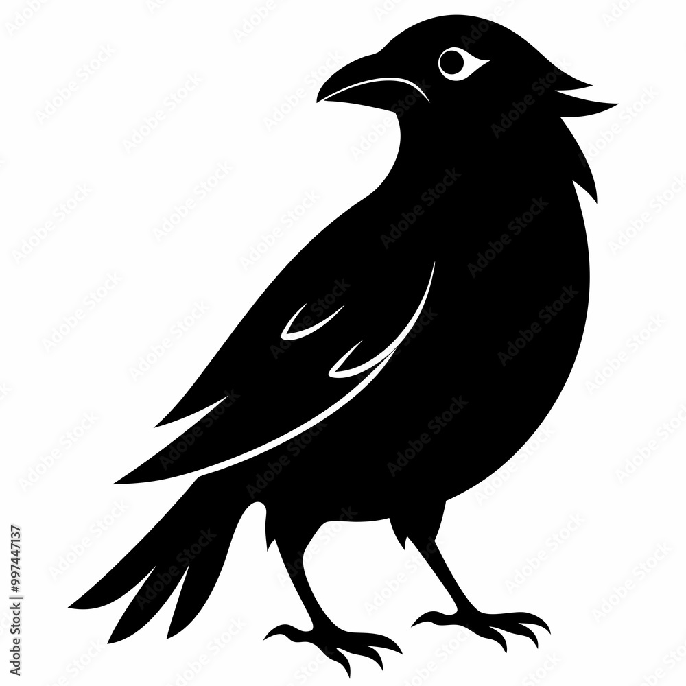 Obraz premium crow on white