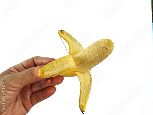 Yellow milk banana fruit or Musa acuminata 'Lady Finger'  on white background. photo