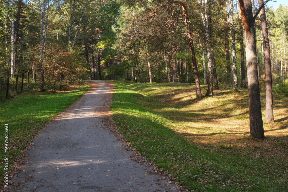 Asphalt path through an autumn park. Natural seasonal autumn background. Asphalt path through an autumn park. Natural seasonal autumn background.