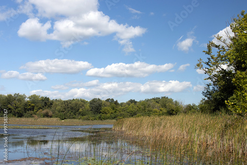 Turner Lake Fen, water lilies, and native wetland grasses and trees in autumn at Moraine Hills State Park in McHenry County, Illinois photo