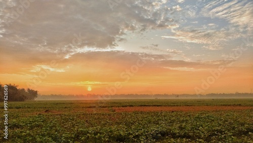 sunrise over field, sky in the morning