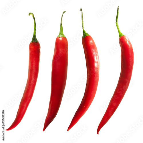 Czerwona ostra papryczka, papryka chilli. Bez tła