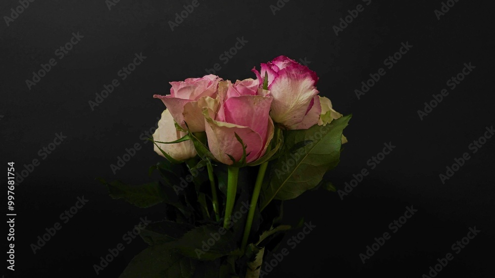 Fototapeta premium Bouquet of multicoloured roses rotating on a black background. Multicolored roses on dark background. Concept of romance, Valentine's Day, wedding day
