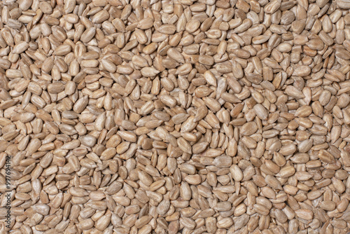 Sunflower seed texture background.