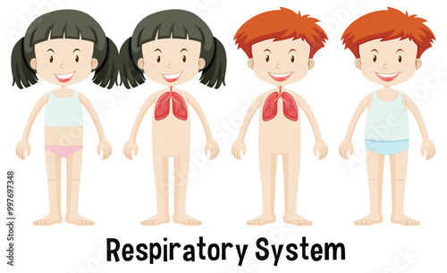 Children's Respiratory System Illustration