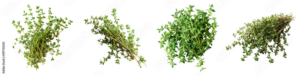 Set of fresh green herbs isolated on white background Set of fresh green herbs isolated on white background