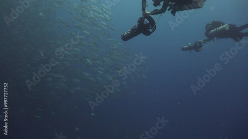Wallpaper Mural Two divers on Diver Propulsion Vehicle swimming to massive school of bigeye trevally  Torontodigital.ca