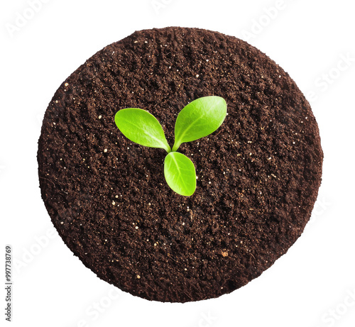 Circle shaped land with sprout isolated on transparent background, top view photo