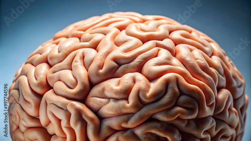 Close-up of a human brain with visible folds and wrinkles, brain, organ, intelligence, medical, science