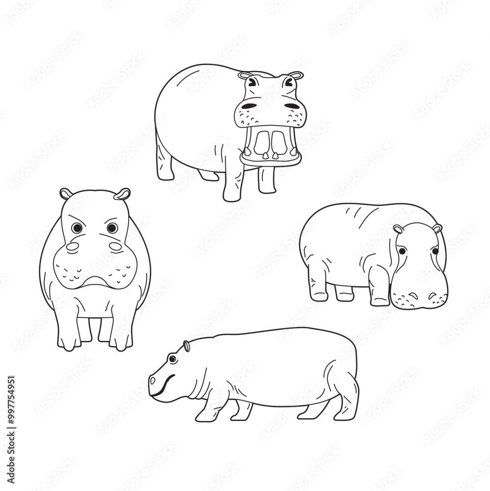 Fototapeta premium Hippo Coloring Book Black and White Drawing Set 1