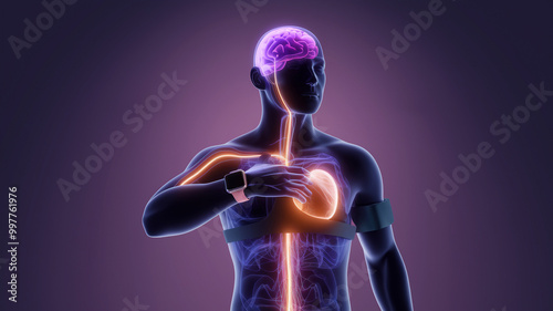 Human anatomy illustration showcasing brain activity and heart functions in a futuristic style. photo