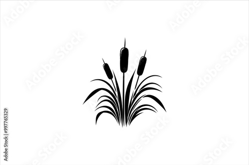 Cattail silhouette Vector icon on white background. Cattail reeds vector silhouette.
a set of Cattail reeds silhouette isolated on a white background.