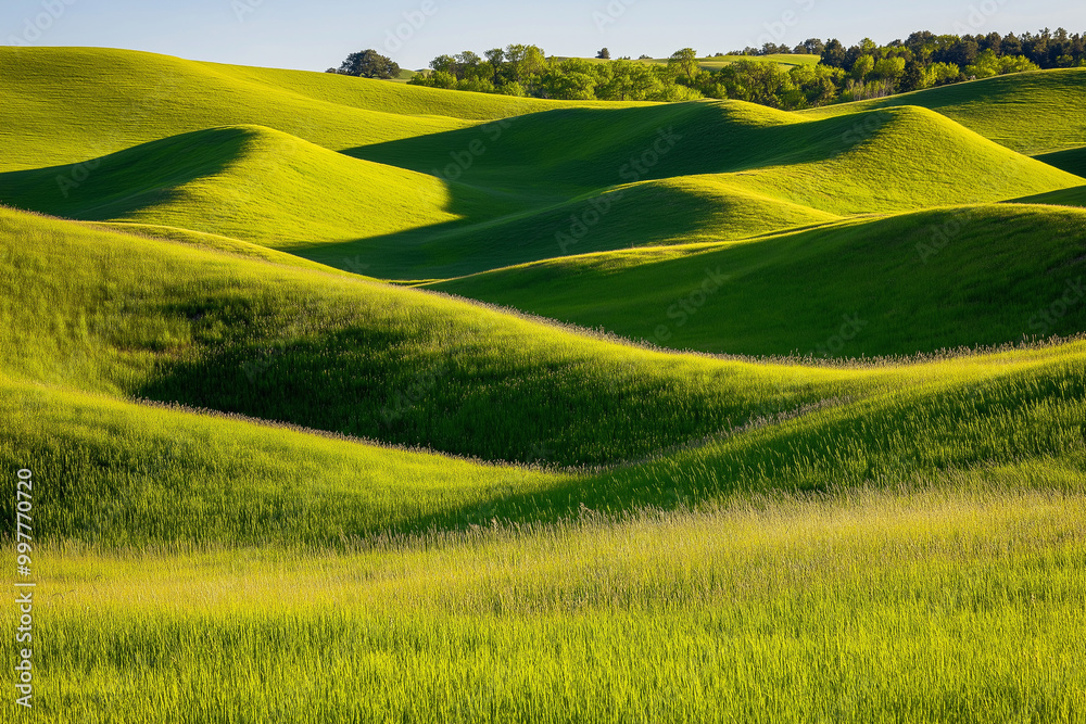 Serene meadow with rolling green hills and wildflowers under sunlight. Serene meadow with rolling green hills and wildflowers under sunlight.