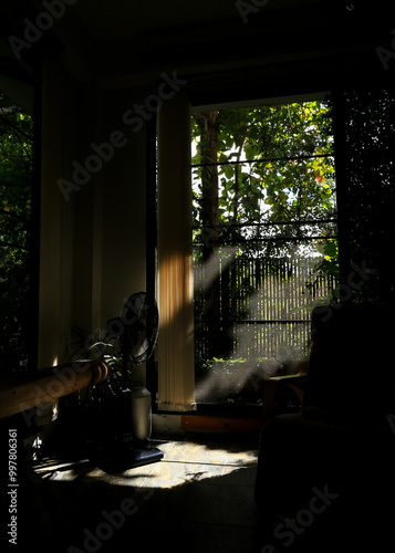 Silhouette of room with a window and a view of the garden. Sunlight through the window. shade of trees