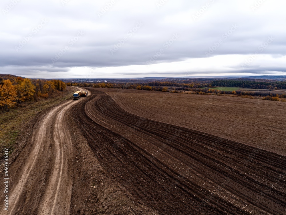 a panoramic view of a Belarusian farm during potato harvest season with workers loading potatoes onto trucks agricultural machinery rural landscape traditional farming methods golden fields and distan a panoramic view of a Belarusian farm during potato harvest season with workers loading potatoes onto trucks agricultural machinery rural landscape traditional farming methods golden fields and distan