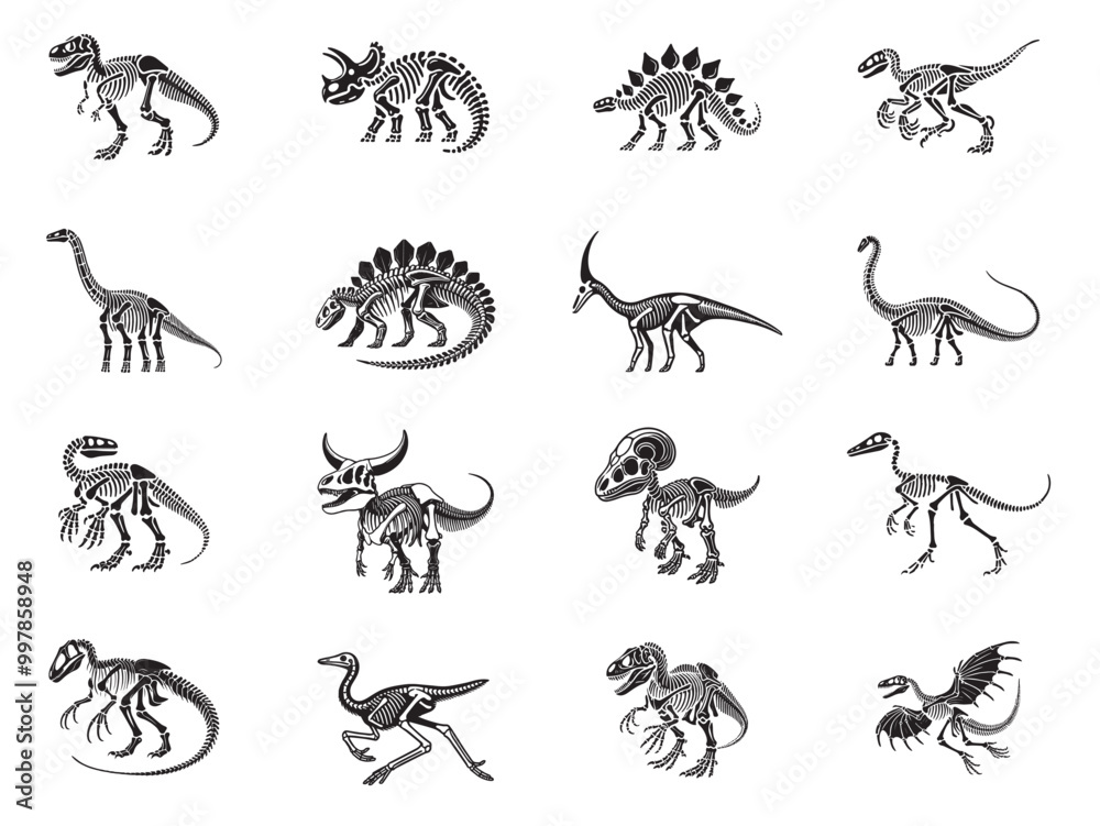 Collection of Dinosaur Skeleton Vector Illustration - Dinosaur Skull Clipart Design Sublimation Collection of Dinosaur Skeleton Vector Illustration - Dinosaur Skull Clipart Design Sublimation