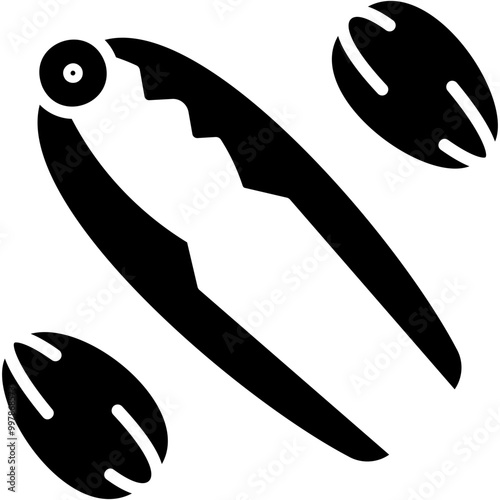 Nutcracker Icon