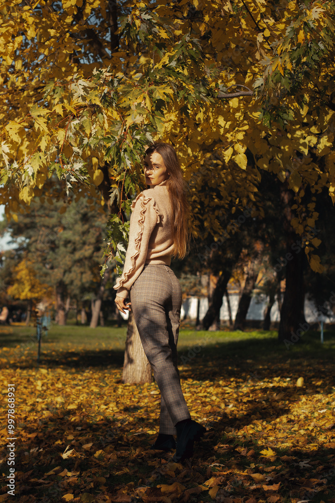 autumn mood beautiful woman portrait outdoors autumn mood beautiful woman portrait outdoors