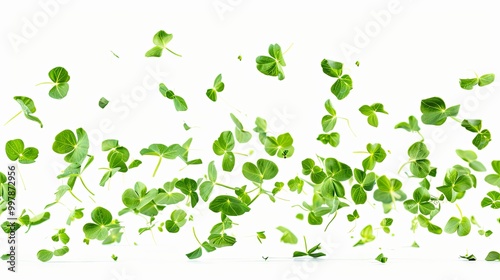 Wallpaper Mural Ultra-realistic view of pea shoots gracefully floating in the air against a pristine white background, showcasing intricate details and vibrant colors, perfect for culinary and botanical themes. Torontodigital.ca
