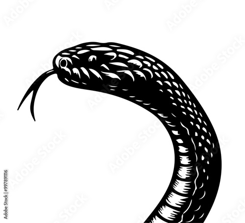 black mamba snake hand drawn vector graphic asset