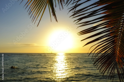 Environment, ocean and travel with sunset at beach for tropical, summer and sustainability. Landscape, ecology and peace with palm tree and leaves on island for vacation, jungle ecosystem and growth
