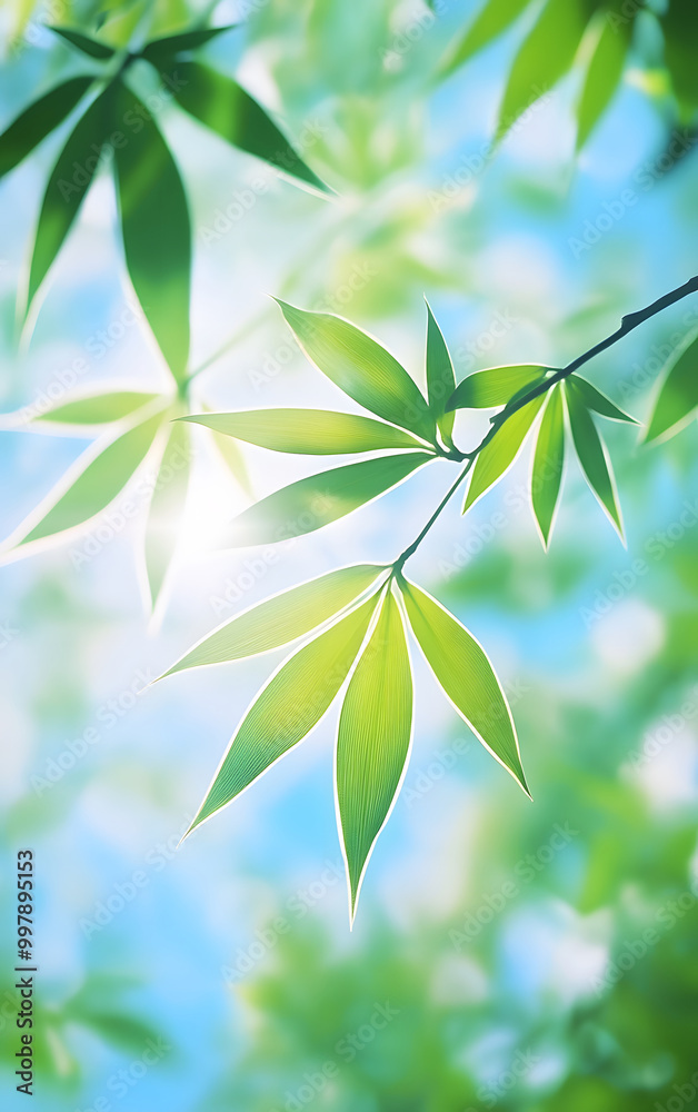 the leaves of bamboo, forming an abstract pattern on a blue sky background. The green leaves of the bamboo come into focus the leaves of bamboo, forming an abstract pattern on a blue sky background. The green leaves of the bamboo come into focus