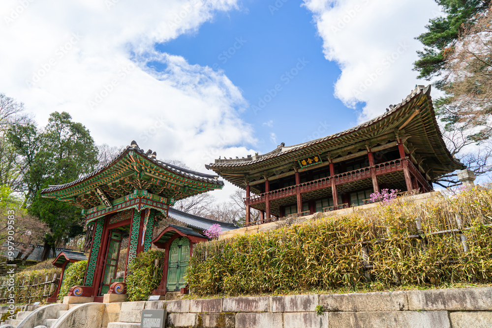 창덕궁 창덕궁