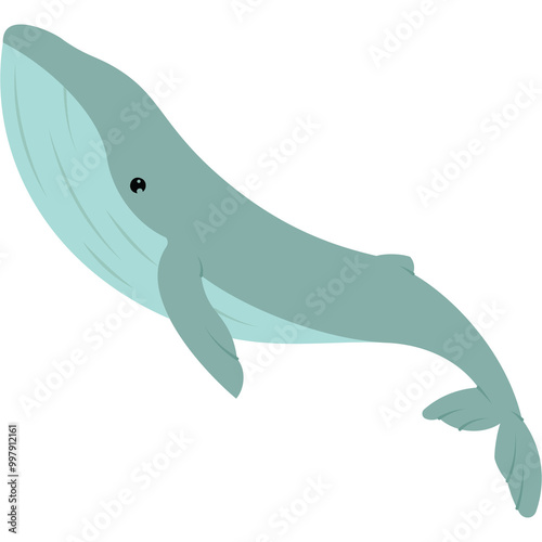 Whale Illustration photo