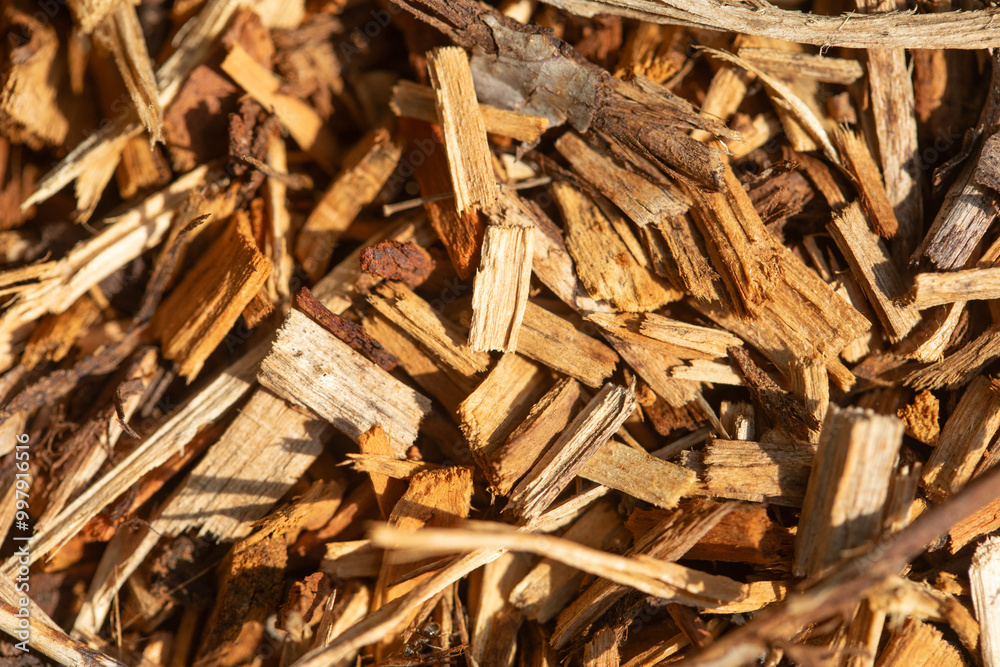 Bark pieces, vegetal scraps background, bark mulch chips backdrop Bark pieces, vegetal scraps background, bark mulch chips backdrop