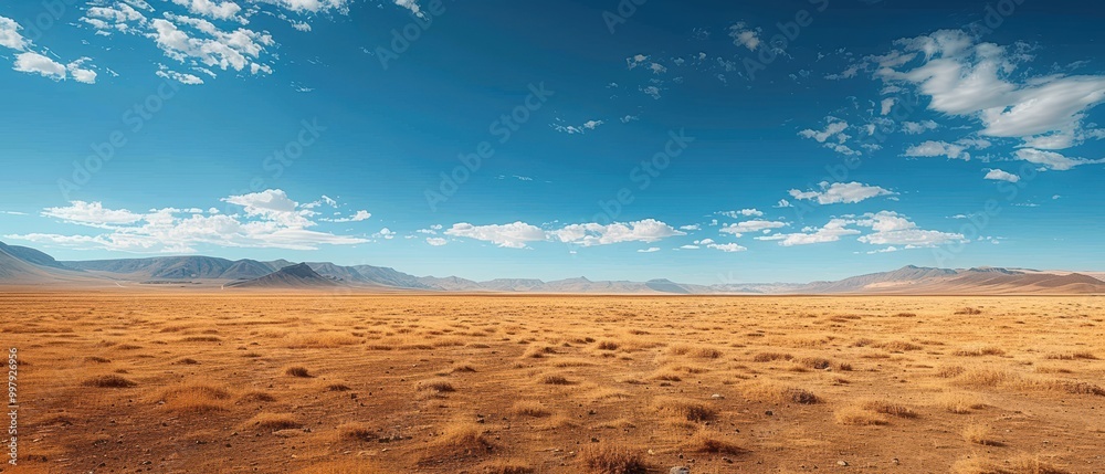 Fototapeta premium Expansive View of Serene Desert Landscape under Blue Sky