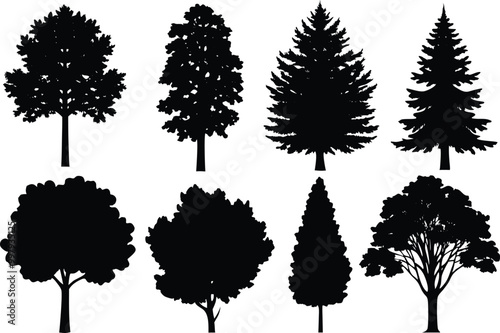 Set of different types of silhouette Poplar tree, vector illustration on white background.