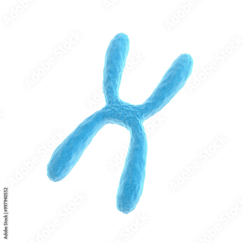 Chromosome X isolated on black background. 3d illustration.