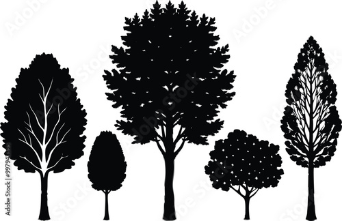 Set of different types of silhouette Poplar tree, vector illustration on white background.