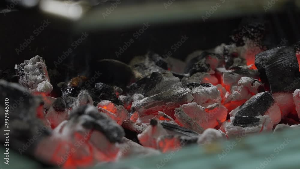 Lighting Charcoal for Grilling Food Lighting Charcoal for Grilling Food
