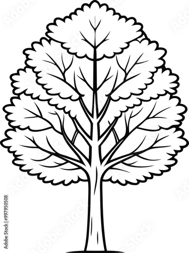 Poplar line art tree exploring simplicity in poplar leaf patterns on black and white.