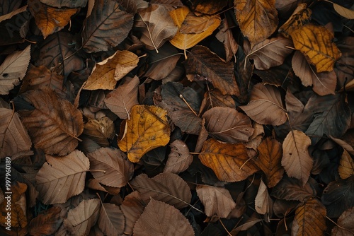 ai generative background of pile of dry leaves