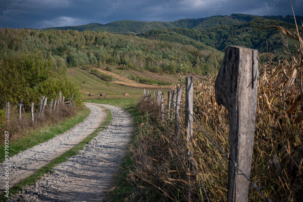 A winding dirt road leads through a picturesque rural landscape. The path is framed by a weathered wooden fence and tall grasses swaying in the breeze. A winding dirt road leads through a picturesque rural landscape. The path is framed by a weathered wooden fence and tall grasses swaying in the breeze.