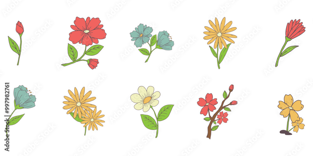 Flower Illustration Set Flower Illustration Set