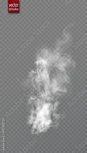 Vector special effect of steam, smoke, fog, clouds. Abstract gas on transparent background, steam engine, explosion, haze effect, condensation, smoke. Vector 10 EPS