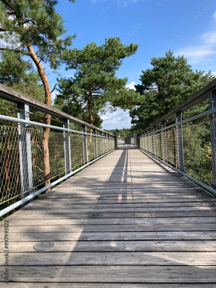 Obraz premium Weg auf dem Baumwipfelpfad Heidehimmel in der Lüneburger Heide im Sommer