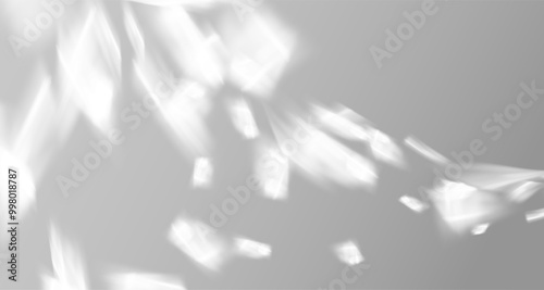 Abstract shadow on white concrete wall.Soft overlay of natural light.Natural light layout.