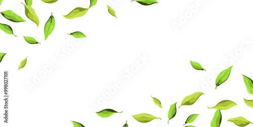 A banner with fresh green leaves. A horizontal template. Vector illustration.
