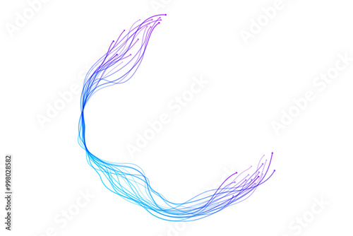 Abstract vector wavy dynamic lines circle round curve shape blue purple gradient isolated on transparent background in concept technology, neural network, neurology, science.
