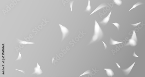bstract shadow on white concrete wall.Soft overlay of natural light.Natural light layout.